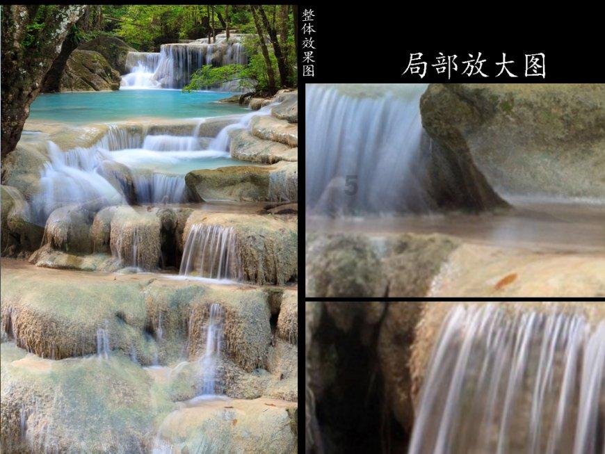 沈阳市野生动物保护协会，第九届换届选举大会，成功召开！